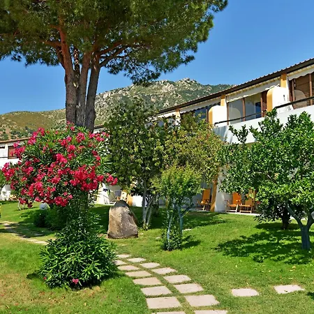 Cormoran 4* וילסימיוס