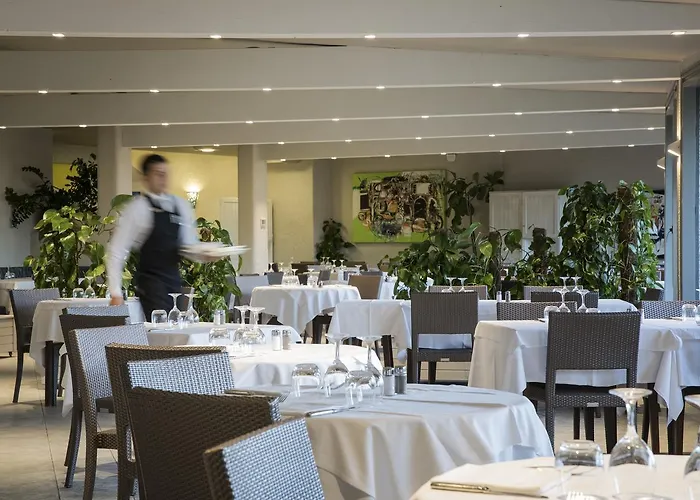 Cormoran וילסימיוס