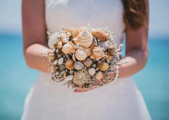 מלון Cormoran וילסימיוס