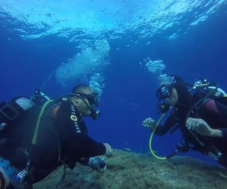 Cormoran Hotel&residence 4*