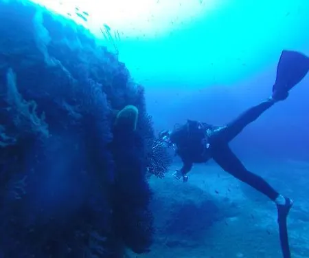 מלון Cormoran & 4*