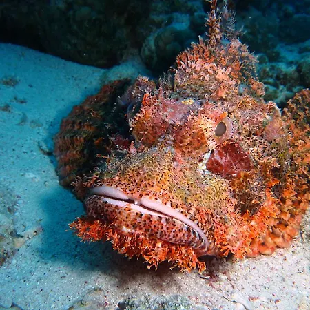 Hotel Cormoran & Villasimius